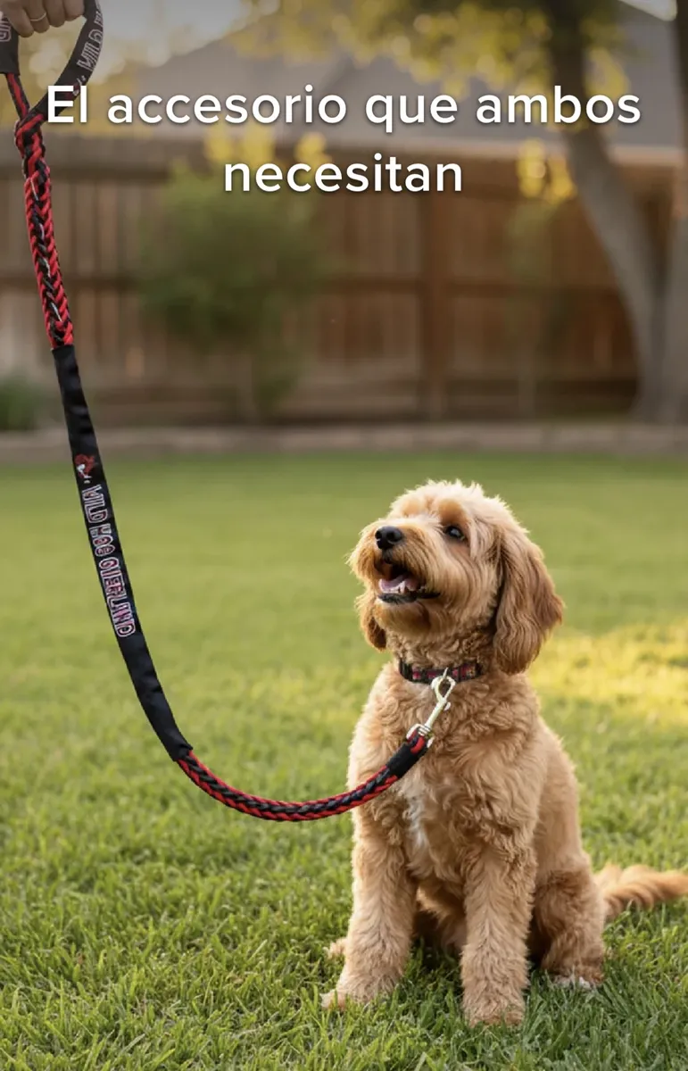 Correa De Cuerda Sintética Para Mascota WHO - Imagen 2